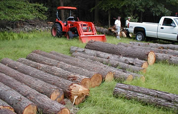 Ulster County logging