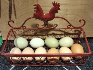 Eggs for sale in Grahamsville & Napanoch NY